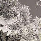 Železnice Srbije tvrde: Saobraćaj bez većih zastoja i problema 4