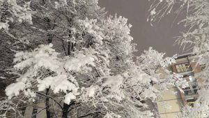 Železnice Srbije tvrde: Saobraćaj bez većih zastoja i problema 1