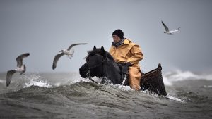 Stručni žiri konkursa, koji su organizovali UNESCO u okviru Svetskog programa za procenu voda i organizacija Onewater, odabrao je pobednike među skoro 1.000 pristiglih priča iz 114 zemalja.