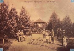 "Hrast su mogli da unesu u Skupštinu grada umesto badnjaka": Led i mraz poobarali četinare u kragujevačkom Velikom parku (FOTO) 9