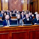 Kako je izgledala prepodnevna rasprava u Skupštini o "Mrdićevim zakonima": Da li je važniji Dom zdravlja ili sud? 7