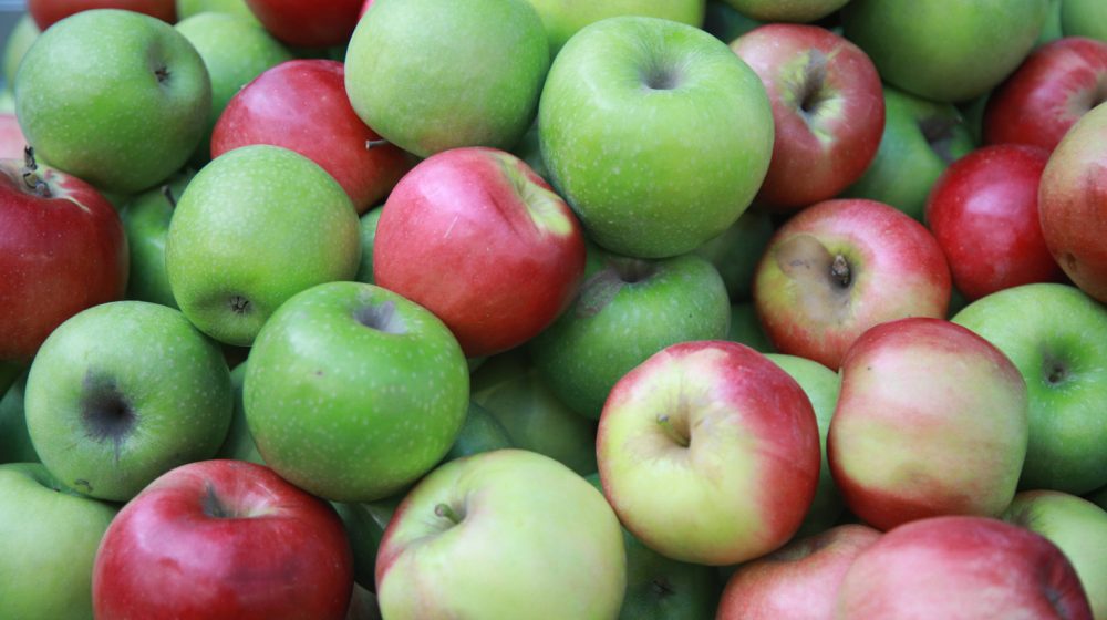 Otvoren Međunarodni sajam voćarstva, povrtarstva i vinogradarstva na Beogradskom sajmu 7