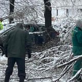 Bandera pala na automobil 5