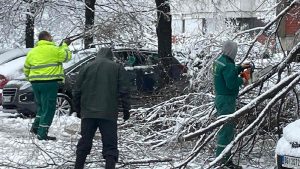 Sve raspoložive ekipe Elektrodistribucije Srbije (EDS) intezivno rade na otklanjanju kvarova nastalih kao posledica velikog nevremena praćenog jakim, vlažnim i teškim snegom, koje je zahvatilo veći deo Srbije, saopšteno je danas.