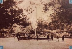 "Hrast su mogli da unesu u Skupštinu grada umesto badnjaka": Led i mraz poobarali četinare u kragujevačkom Velikom parku (FOTO) 10