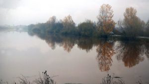 (VIDEO) Vanredna situacija u Zvorniku, problemi i u Hercegovini: Vatrogasac izvukao Golfa iz nabujale reke 2