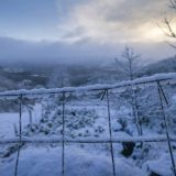 (VIDEO) U Dalmaciji pada sneg 5