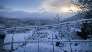 (VIDEO) U Dalmaciji pada sneg 1