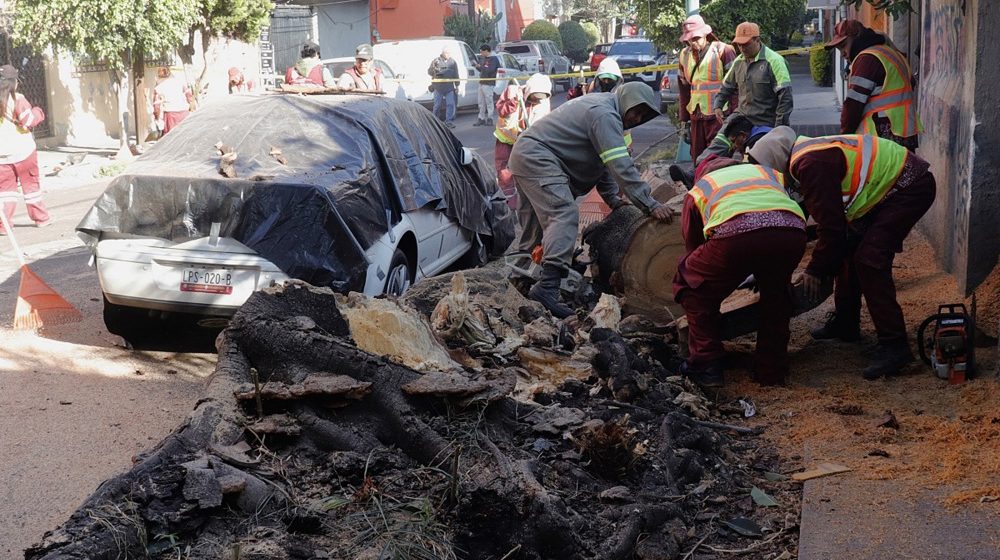Snažan zemljotres magnitude 6,5 u Meksiku, jedna osoba poginula, 12 povređeno 8