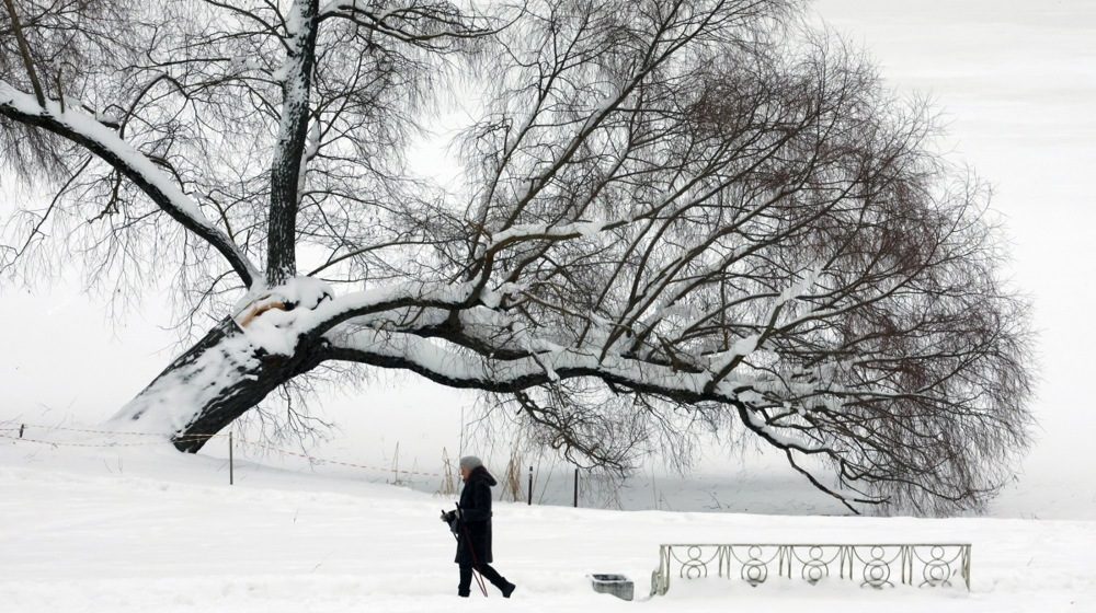 (VIDEO) Ovo nije viđeno decenijama: Vanredno stanje na Kamčatki, snežni nanosi preko 2,5 metra 8
