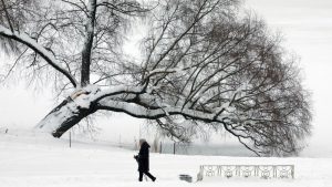 (VIDEO) Ovo nije viđeno decenijama: Vanredno stanje na Kamčatki, snežni nanosi preko 2,5 metra 30