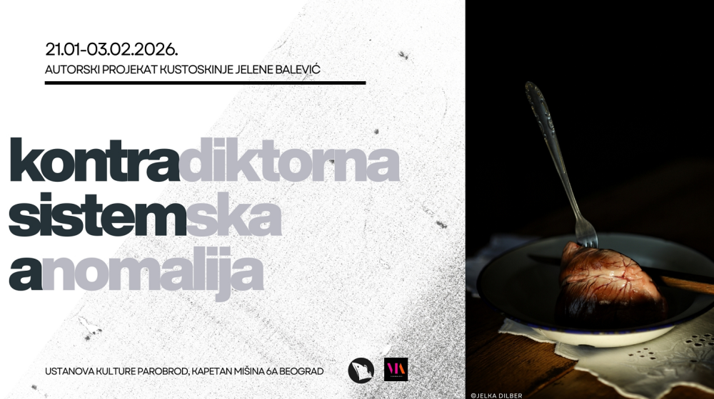 kontradiktorna sistemska anomalija