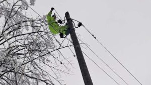 Macut i Mesarović uručili zahvalnice radnicima EDS i Srbijašuma 3