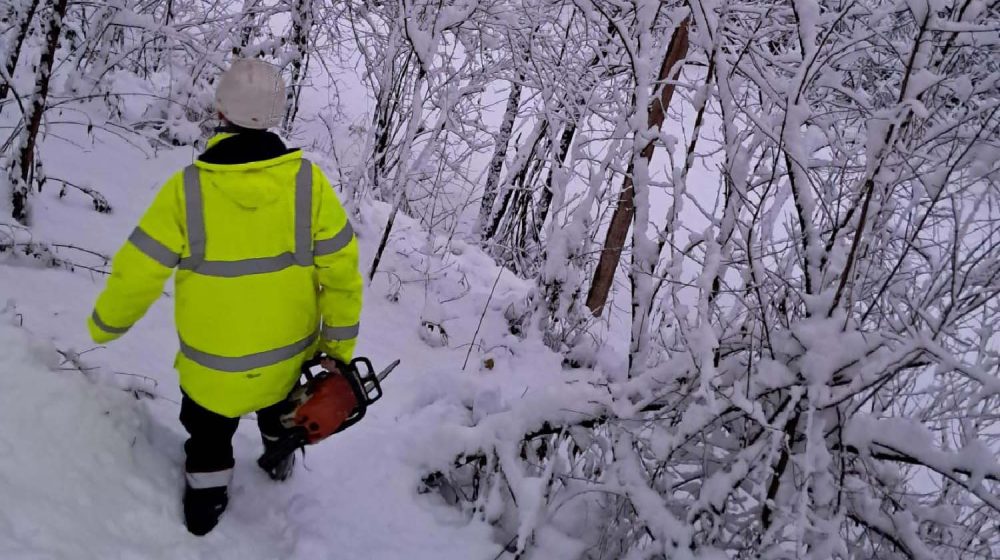 EDS: Majdanpek tokom dana dobija električnu energiju, na terenu 184 ekipe 9