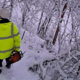 EDS: Majdanpek tokom dana dobija električnu energiju, na terenu 184 ekipe 5