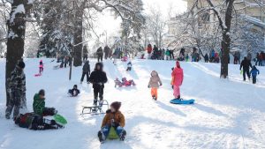 SRCE: Ne postoji osnov za krivično ili prekršajno gonjenje zbog grudvanja 1