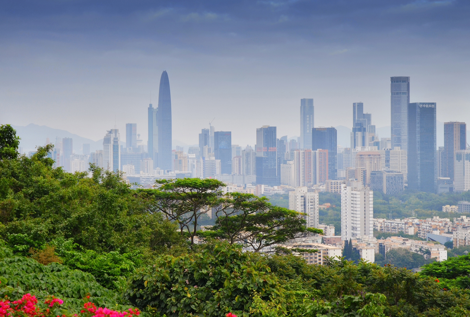 Šenžen: Grad koji je odlučio da ne čeka budućnost 5 Šenžen: Grad koji je odlučio da ne čeka budućnost 4