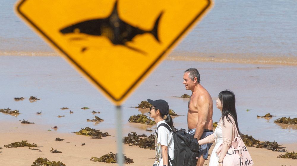 Četiri napada ajkula na ljude u Australiji za 48 sati 4