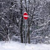 "S vremena na vreme dobijemo po par sati struju, ali ima i sela gde od nedelje nema ni struje ni vode" 6