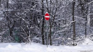 Uprava za šume upozorila: Sneg i niske temperature prete da ugroze divljač u lovištima Srbije 7