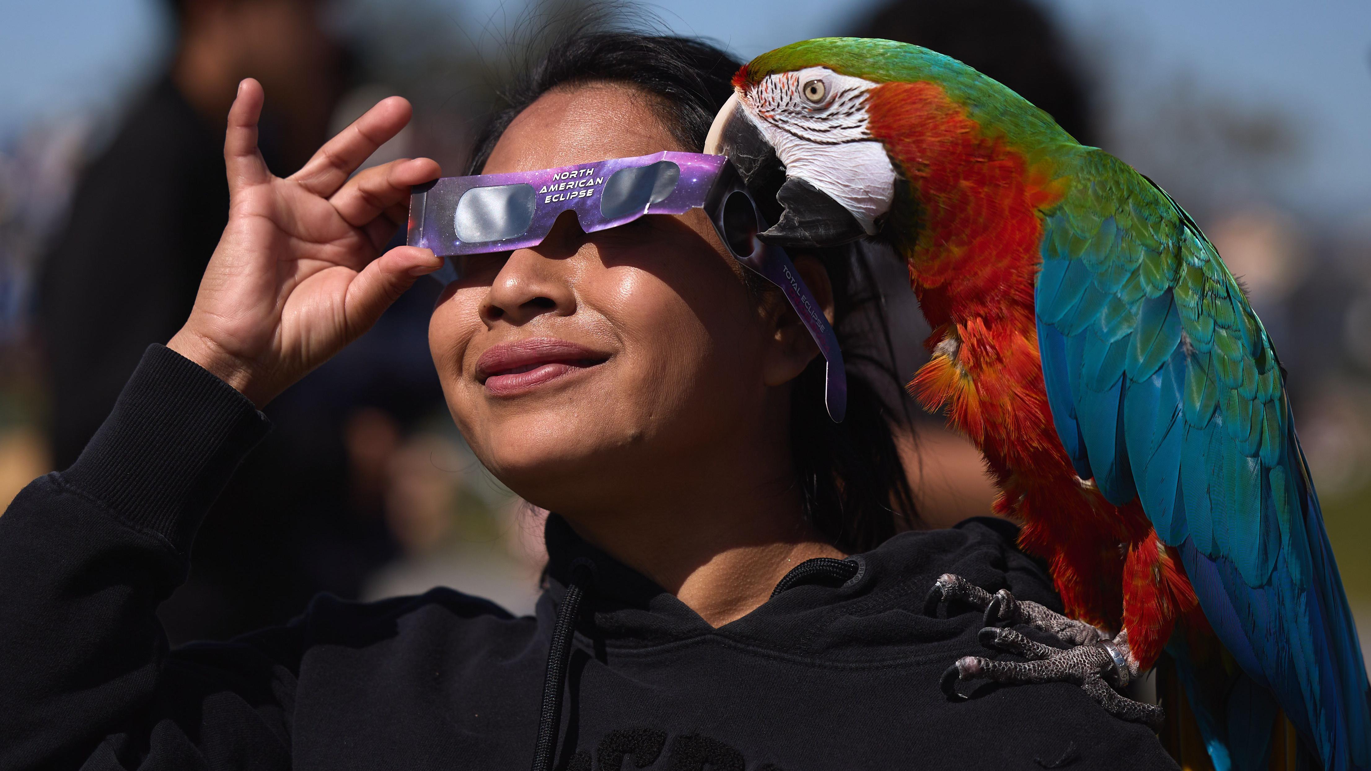 Devojka sa papagajem na ramenu posmatra delimično pomračenje Sunca u Los Anđelesu u Kaliforniji, u aprilu 2024.