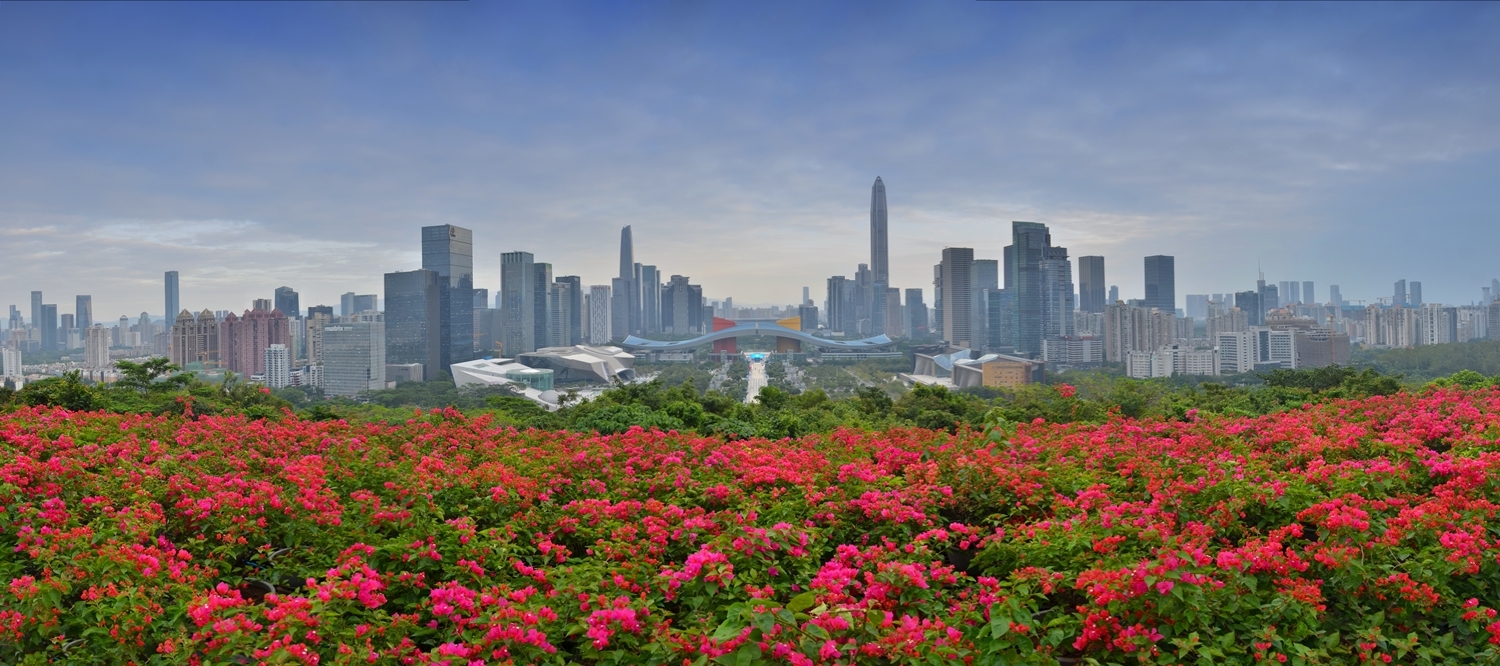 Šenžen: Grad koji je odlučio da ne čeka budućnost 2 Šenžen: Grad koji je odlučio da ne čeka budućnost 1