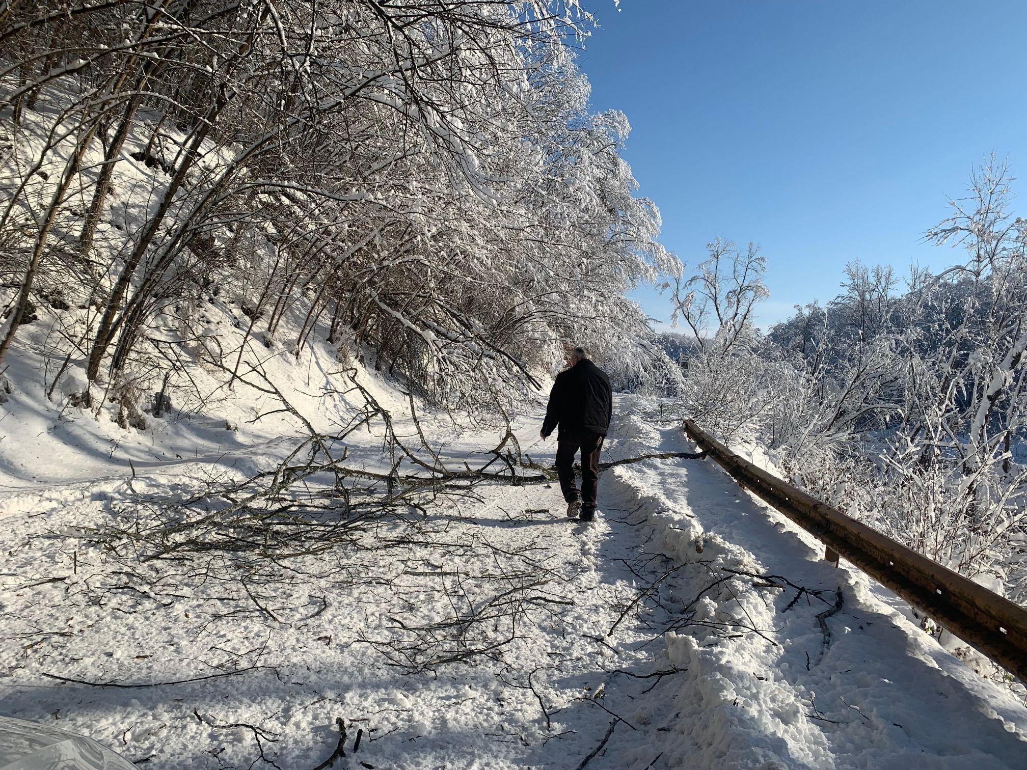 Lozica sedam dana bez struje zbog snega, vanredna situacija u 15 srpskih opština 14 oboreno stablo na putu
