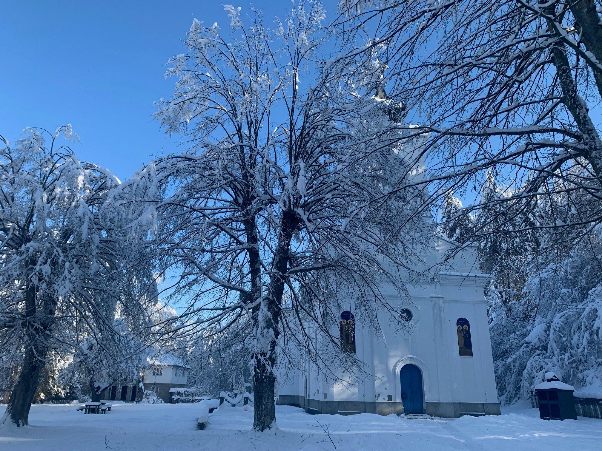 Lozica sedam dana bez struje zbog snega, vanredna situacija u 15 srpskih opština 6 Zavejano drveće i crkva