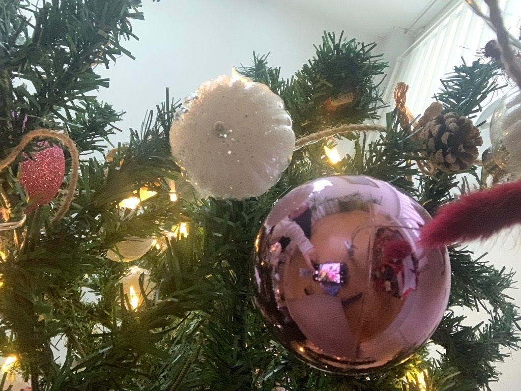 Pogled odozdo na jelku