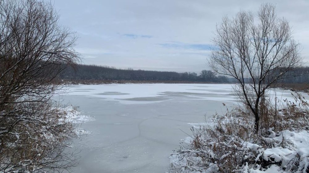 Kakve posledice bi imala izgradnja luke kod bare Reve nadomak Beograda 7