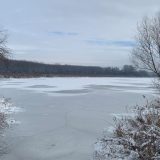 Kakve posledice bi imala izgradnja luke kod bare Reve nadomak Beograda 5