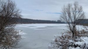 Kakve posledice bi imala izgradnja luke kod bare Reve nadomak Beograda 28