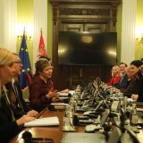 Predstavnica vlasti za Danas nakon sastanka sa delegacijom EP: Posle smo izašli da pogledamo izložbu o Jasenovcu (VIDEO) 6