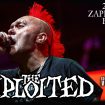 the exploited