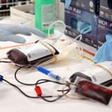 'Rezerve drastično smanjene': Zašto je važno redovno davanje krvi 9