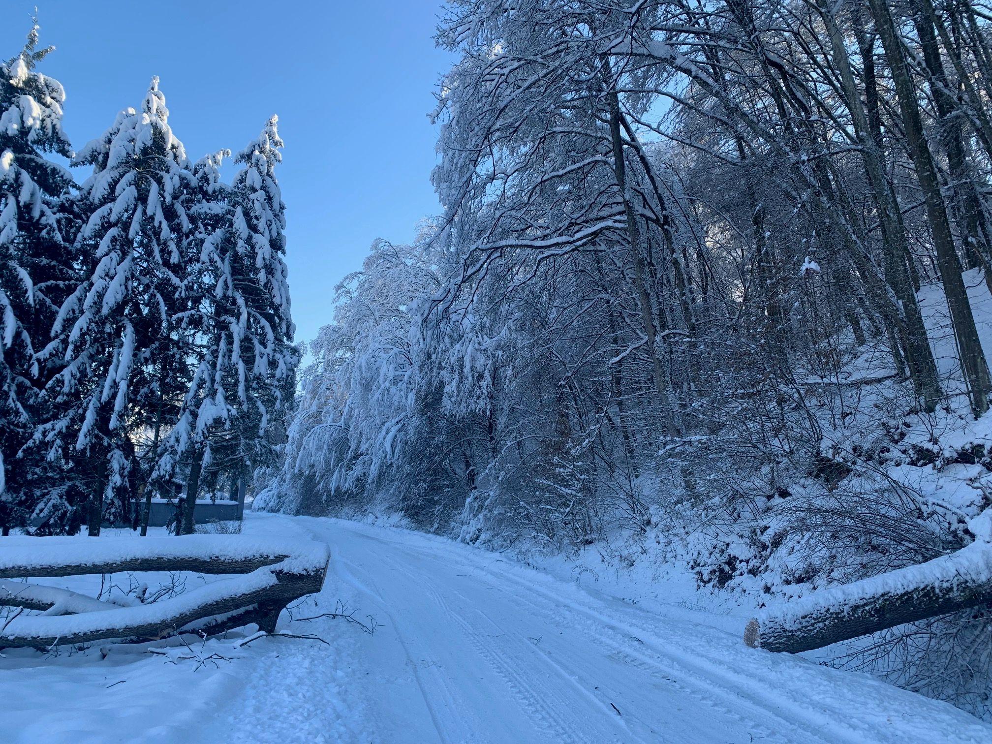 Lozica sedam dana bez struje zbog snega, vanredna situacija u 15 srpskih opština 15 Zavejan put kroz šumu