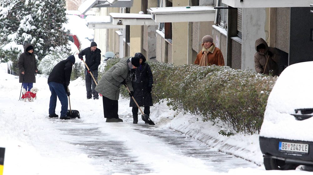 Pokret Bravo poziva Novosađane da čiste sneg, gradske službe tvrde da je očišćeno skoro sve 11