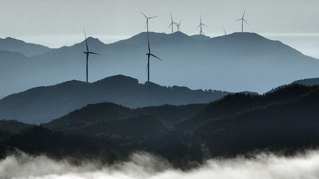 Sedam uspeha u borbi za očuvanje prirode za koje možda niste čuli u 2025. 2 Vetrenjače