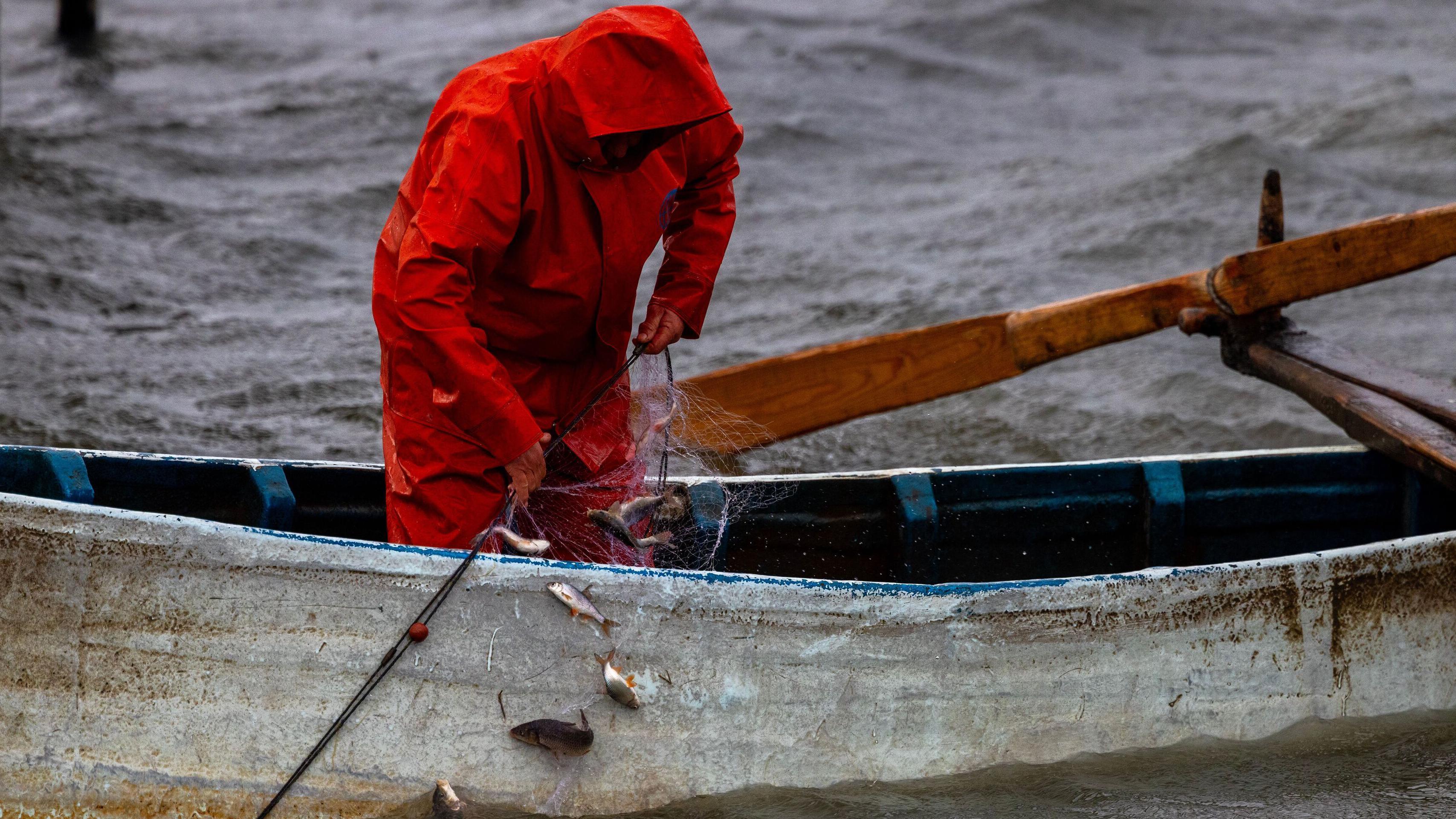 Dojran pun života: Kiša podigla jezero, ptice preplavile obalu 10 ribar u čamcu