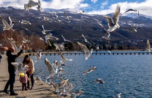Ohridsko jezero se 'otrglo' od zime - fotografije 9