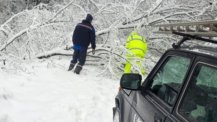 Lozica sedam dana bez struje zbog snega, vanredna situacija u 15 srpskih opština 16 radnici sklanjaju oboreno stablo
