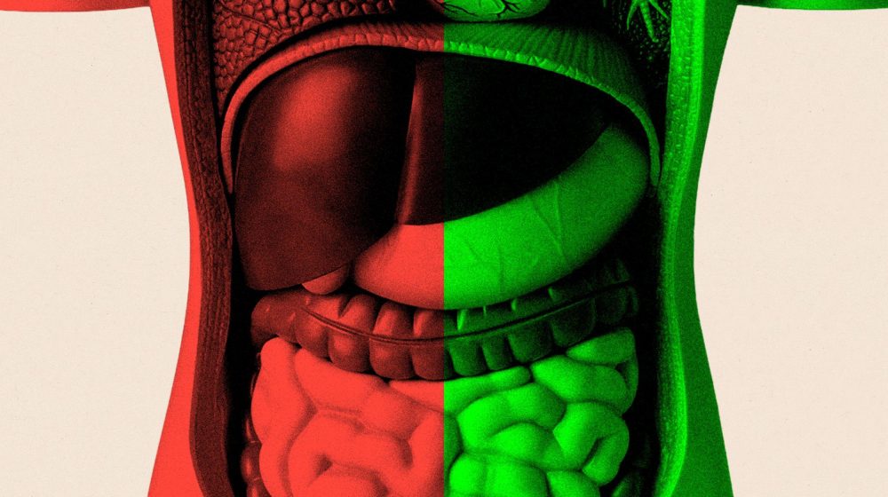 Mesecima sam istraživao utiče li zdravlje creva na starenje 10