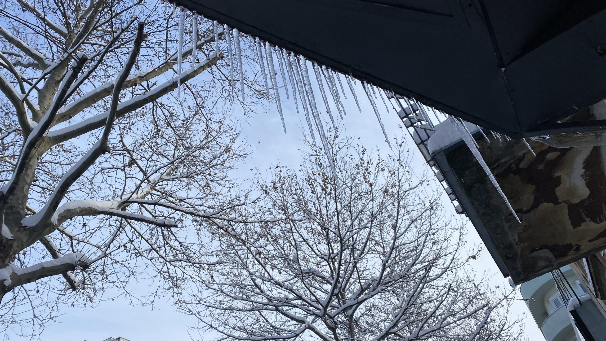 Srbija pod snegom: Vanredna situacija u više opština, problemi sa strujom, na terenu 2.324 putara, otežan saobraćaj u Beogradu 5