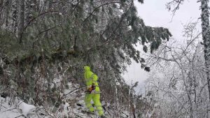 Stiže novi snežni talas, problemi sa strujom 1