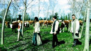 Beogradski indie-rock bend Mitsko Biće danas je objavio muzički spot za pesmu „Prijatelji“ sa njihovog debitantskog albuma „Došlo vreme da se Biće menja“.