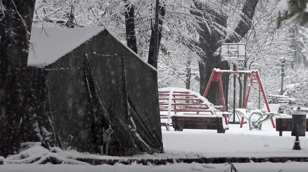 ANEM: Za devet meseci najmanje 25 napada na medijske radnike kod Skupštine Srbije 9