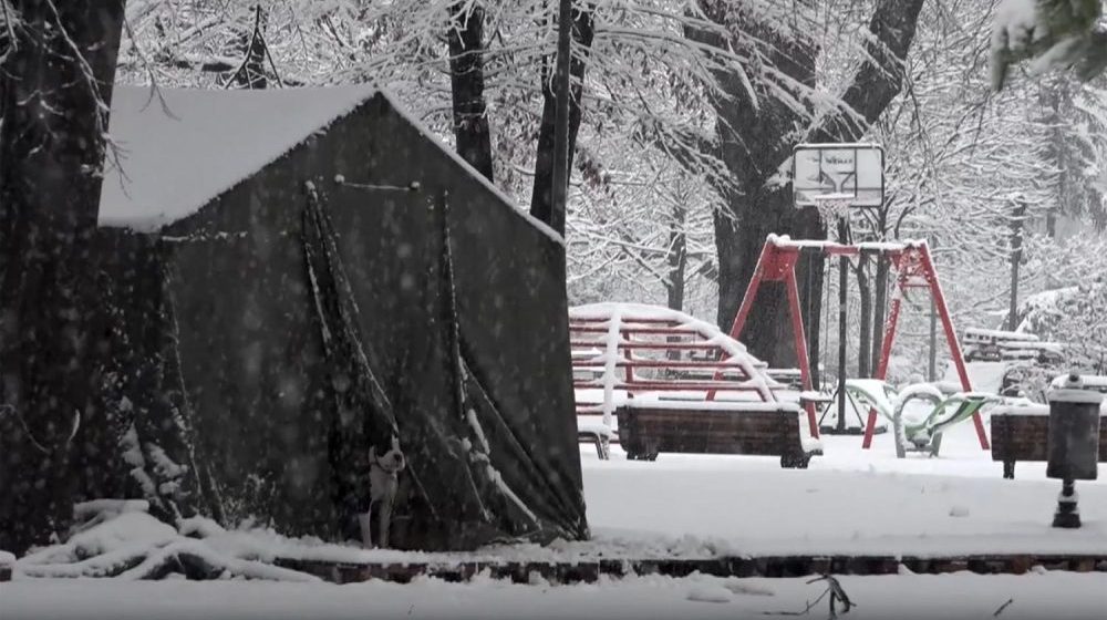 ANEM: MUP da zaštiti novinare od nasilnika iz Pionirskog parka 9