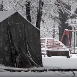 ANEM: MUP da zaštiti novinare od nasilnika iz Pionirskog parka 9