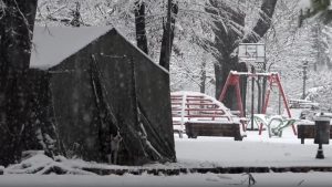 ANEM: MUP da zaštiti novinare od nasilnika iz Pionirskog parka 2