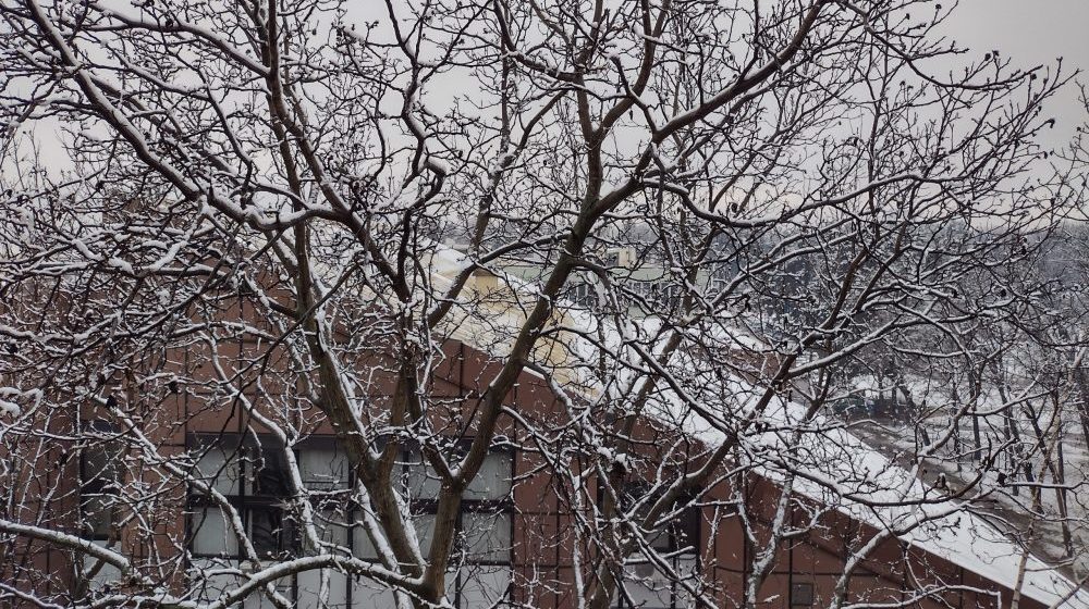 Upozorenje na niske temperature i pojavu poledice u Kragujevcu i Šumadiji 15